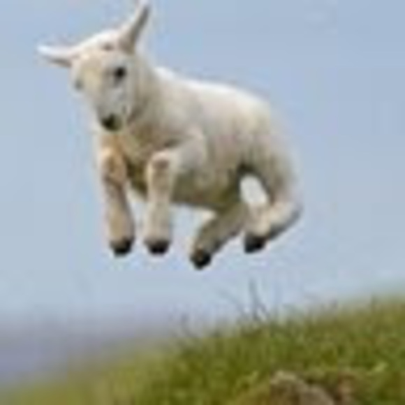 Profile Picture of Ashley Arnwine (@thrashleyyy2) on Poshmark