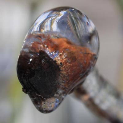 Profile Picture of Nancy Denning-Martin (@NDenningMartin) on Twitter