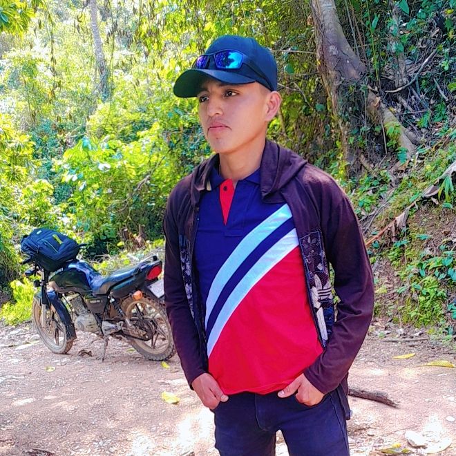 Profile Picture of Henry Tut (@henry.tut2) on Tiktok