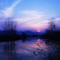 Profile Picture of Adah Wissler (@irbfytys591) on Tiktok