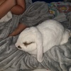 Profile Picture of Tina Sinclair (@@tinasinclair0) on Tiktok