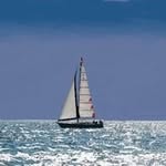 Profile Picture of Peter Gene (@gene.peter) on Instagram