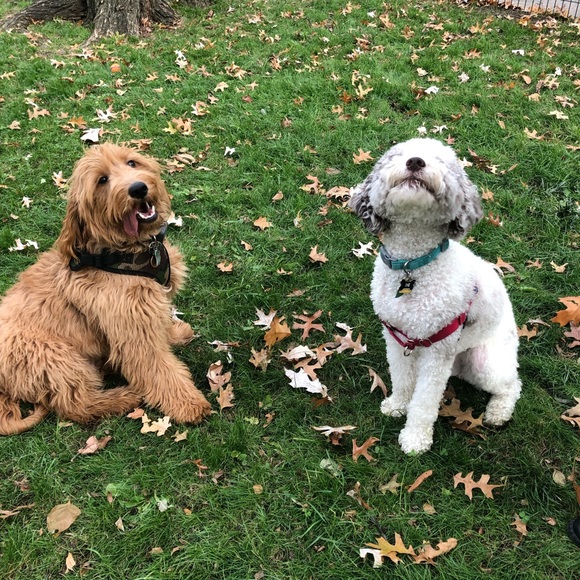 Profile Picture of Arielle Hoffman (@ajmhoff) on Poshmark