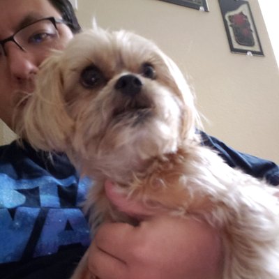 Profile Picture of Steven Himes (@deltaproximus) on Twitter