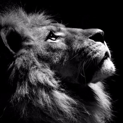Profile Picture of Madeleine Michelle (@madeleine78) on Twitter