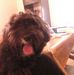 Profile Picture of George Morar (@george.morar.399) on Facebook
