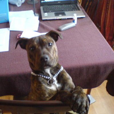 Profile Picture of Tim Tunks (@only1tim) on Twitter