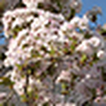 Profile Picture of Nikker2 (@nikker2) on Flickr