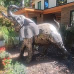 Profile Picture of Hugo Enamorado Navarro (@hensor75700) on Facebook