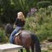Profile Picture of Robin Whetstone (@tweetie007) on Pinterest