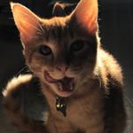 Profile Picture of Michael Jeter (@m_s_jeter) on Instagram