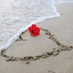 Profile Picture of Michael Modrow (@modrow.m) on Instagram