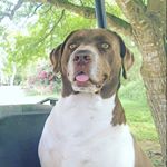 Profile Picture of Sean Huddleston (@seanhuddlestona) on Instagram