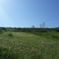 Profile Picture of Josephine Outcault (@josephine-outcault-1) on Quora