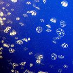 Profile Picture of Skylar Smith (@skylaarsmith) on Instagram