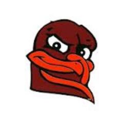 Profile Picture of Larry Bates (@hokielb) on Twitter