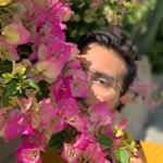 Profile Picture of Jose Galvez (@leogalvez) on Instagram