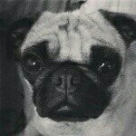 Profile Picture of Tasha Lee Haskell (@1979th) on Instagram