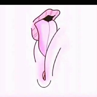 Profile Picture of Brian Jr. (@jilat.kacang.545) on Facebook