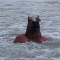 Profile Picture of Joe Grise (@joe-grise-1) on Quora