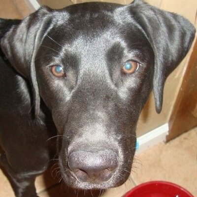 Profile Picture of Brett Bennett (@texasmcse) on Twitter