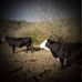 Profile Picture of Bradley Tuttle (@bradley.tuttle.7) on Facebook