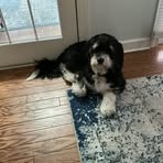 Profile Picture of Charles McGinn (@charles.mcginn.2025) on Facebook