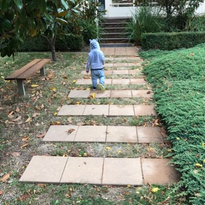 Profile Picture of Mark Sawicki (@mnsawicki) on Twitter