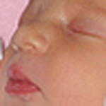Profile Picture of Paul, Piper and Emelia Martin (@Emelia Martin) on Flickr