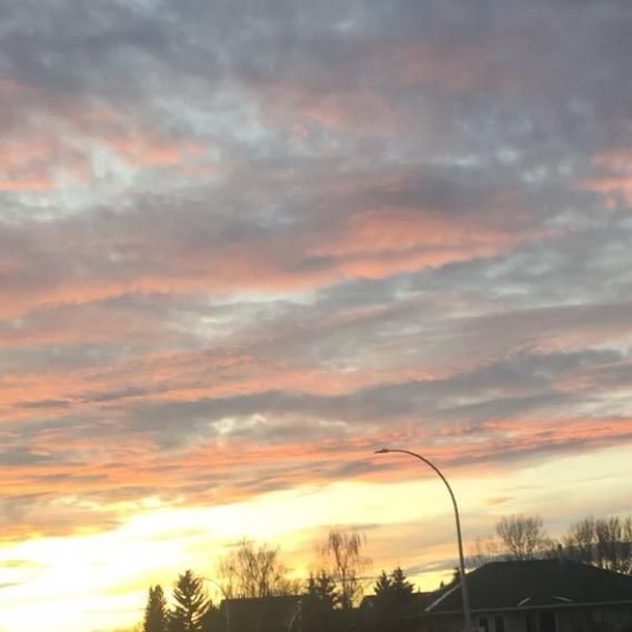 Profile Picture of keisha.wilson (@keisha...wilson) on Tiktok