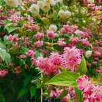 Profile Picture of Isabelle Mouton (@sangat51) on Instagram