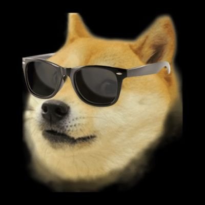 Profile Picture of Nick (@NicholasHuynh13) on Twitter