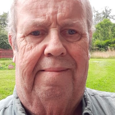 Profile Picture of Michael Berling (@Michael46231883) on Twitter