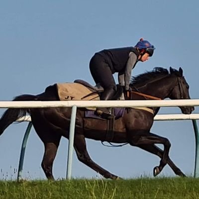 Profile Picture of Dominique Hamblin (@LadyNanBullen) on Twitter