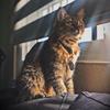 Profile Picture of Diego Bernal (@@diego.bernal) on Tiktok