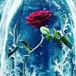 Profile Picture of Paraschiva Mihaela 🇷🇴 (@paraschivam) on Instagram