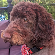 Profile Picture of Ian Spinks (@ianspinks2583) on Youtube