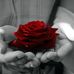 Profile Picture of Oshin Herbert Fernandez Oshin (@oshinherbertfernandez.oshin) on Facebook
