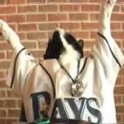 Profile Picture of Robert Worden (@RaysFan247) on Twitter