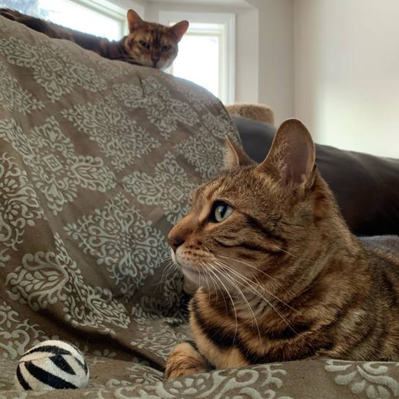 Brad Krauskopf - Poshmark Profile Picture of Brad Krauskopf (@sabremaze) on Poshmark