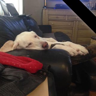 Profile Picture of Debra Allen (@debra.allen.779) on Facebook