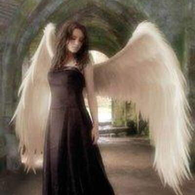 Profile Picture of Fatema Fidvi (@angelianoes) on Twitter