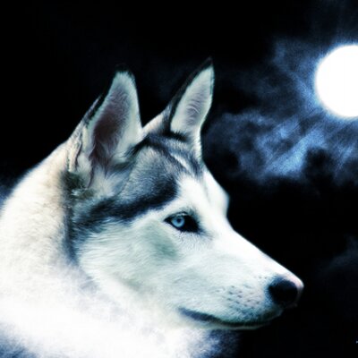 Profile Picture of Jeremy Allan Rupp (@deth765) on Twitter