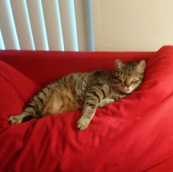 Profile Picture of Janet Bunzey (@janetbunzey) on Poshmark