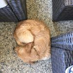 Profile Picture of Blake Guild (@blakedagoldie) on Instagram