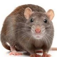 Profile Picture of Erik Munoz (@erik-munoz-19) on Quora