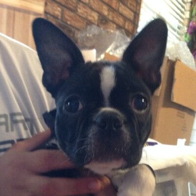 Profile Picture of THEROOKIE_XIII (@Sean_ChampagneX) on Twitter