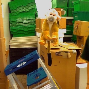 Profile Picture of Washington, Dc Robles-gordon (@282000812) on Myspace