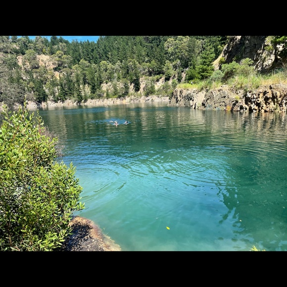 Profile Picture of Adriana Cartwright (@adriana1123960) on Poshmark