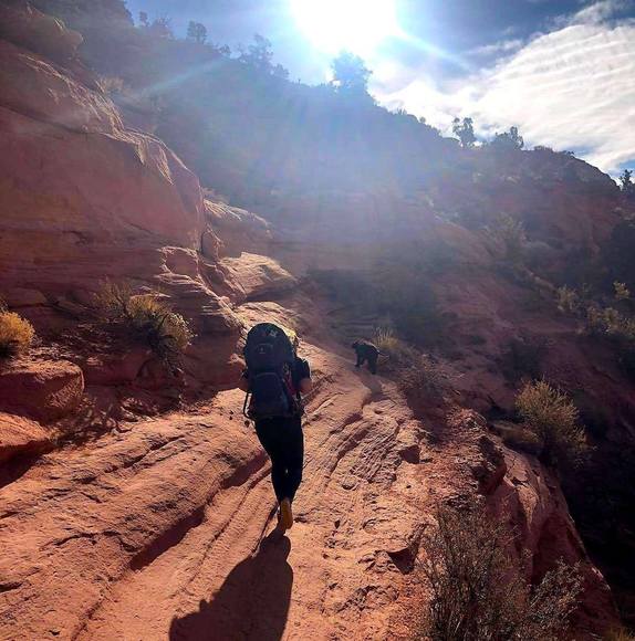 Tiffany Hartner - Poshmark Profile Picture of Tiffany Hartner (@bir05002) on Poshmark